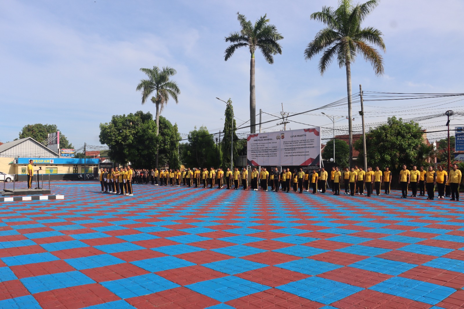 WhatsApp Image 2025-10-31 at 08.32.58