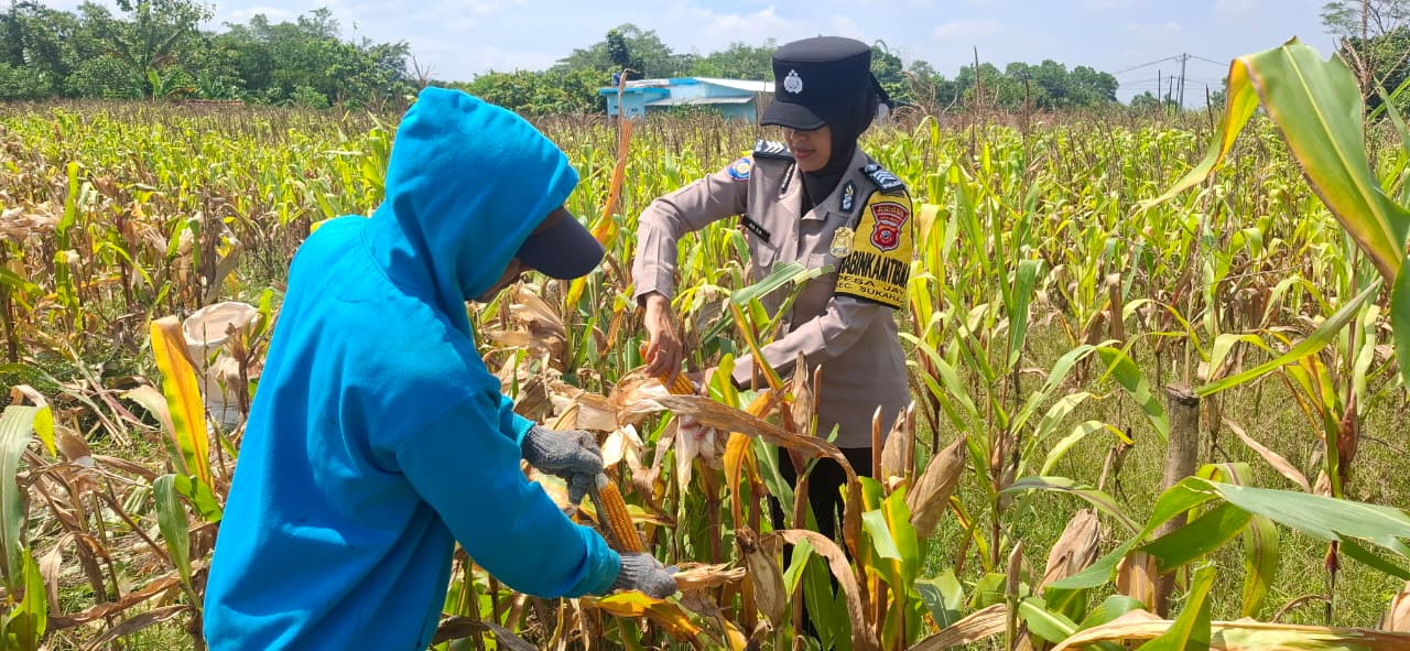 WhatsApp Image 2025-11-14 at 11.17.57